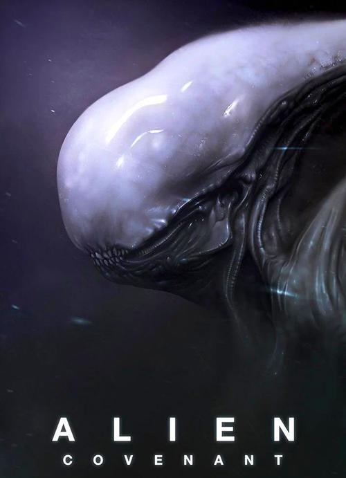 异形契约高清下载 | 异形契约在线观看与资源分享