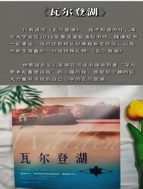 瓦尔登湖txt下载|梭罗经典名著高清电子书